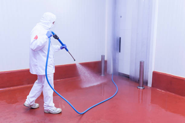 Best Sidewalk and Walkway Cleaning  in Naples, FL